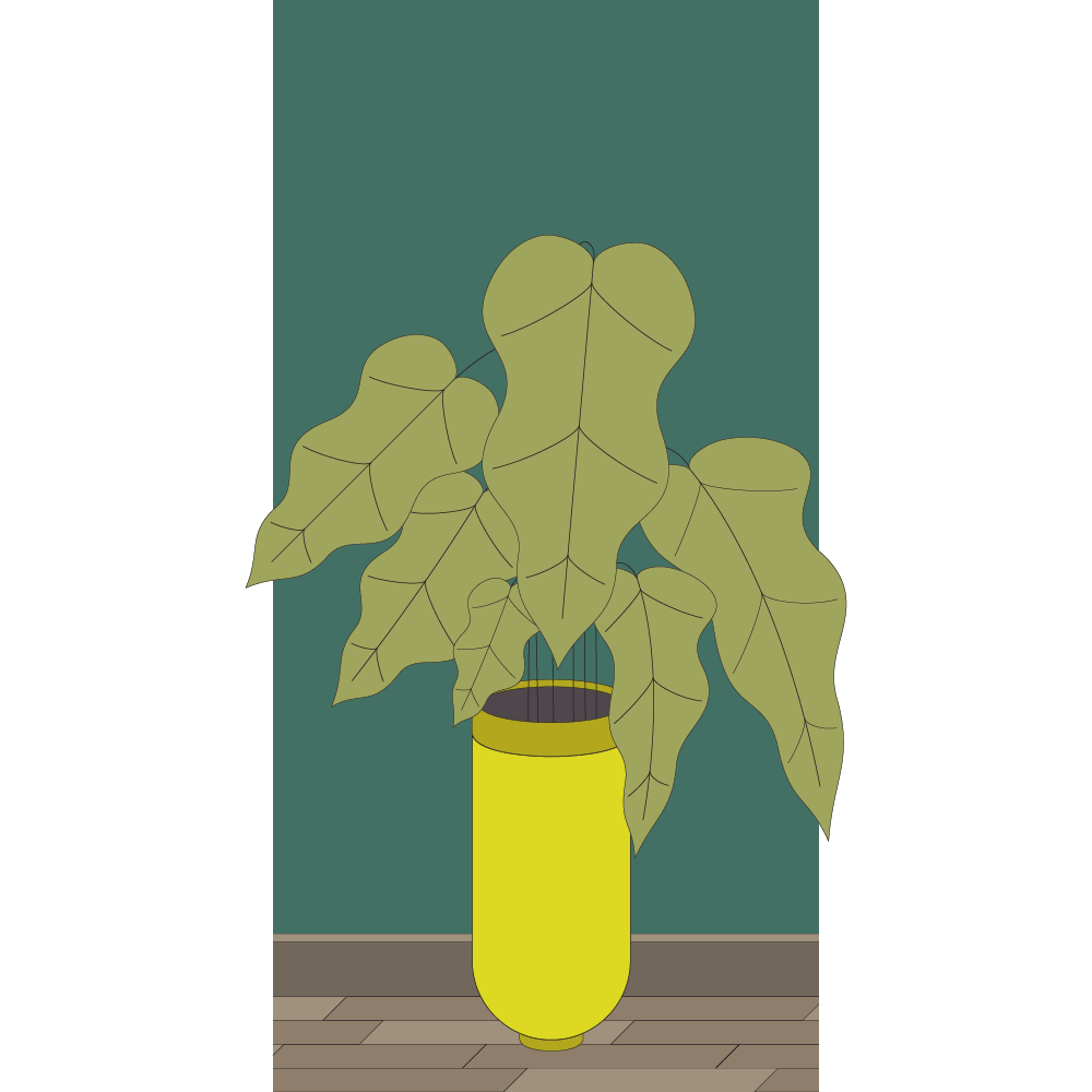 An tall and healthy houseplant plant thrives in its home